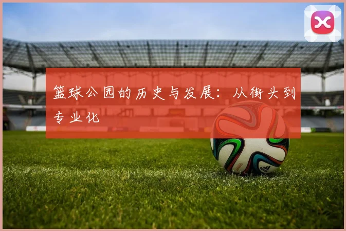 篮球公园的历史与发展:从街头到专业化