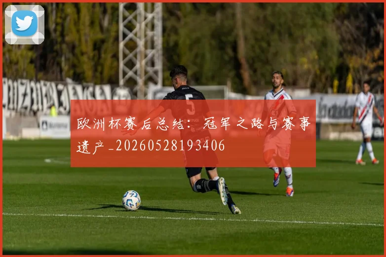 欧洲杯赛后总结:冠军之路与赛事遗产_20260528193406